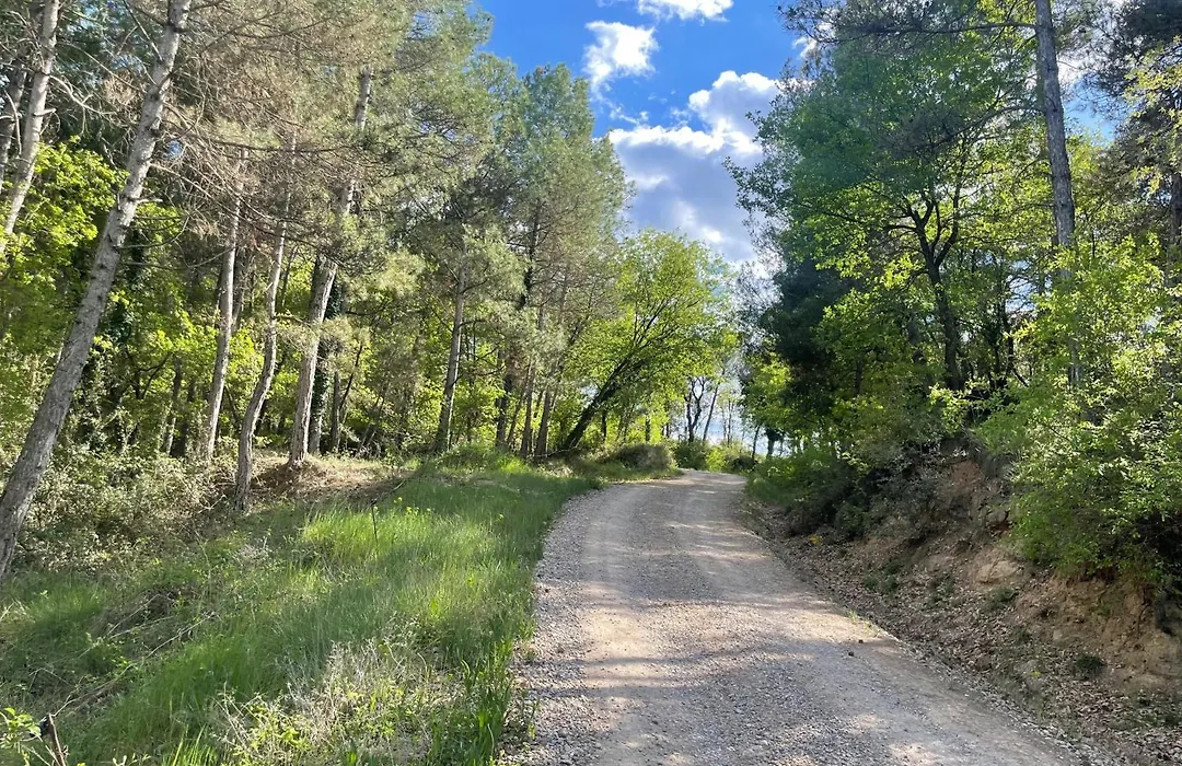 La Caseta De Sant Grau-1